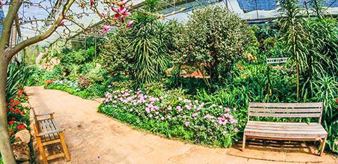 Jardinagem Terceirizada